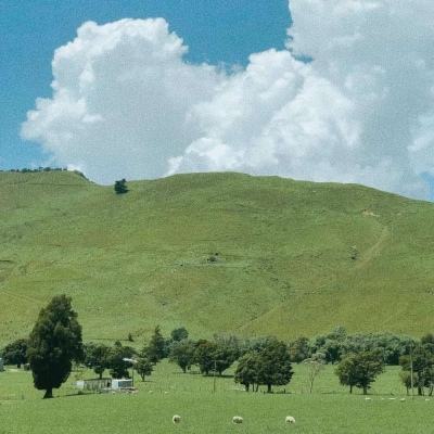 im电竞官方app下载