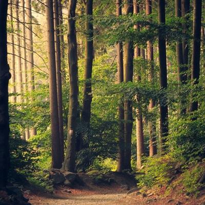 新澳门六开彩资料大全