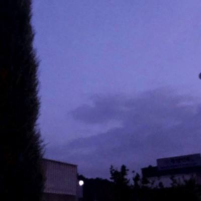 小罗代言米乐体育app下载手机版