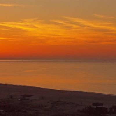 ag真人国际官网app下载