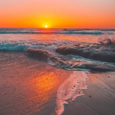 安博APP官网下载地址