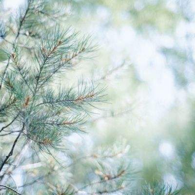 星空线上官网app下载