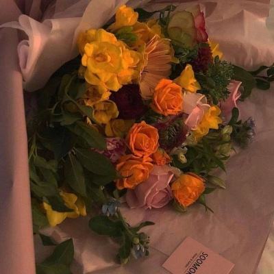 半岛·体育5.0下载