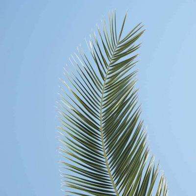 welcome 彩神8的最新网址