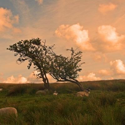 im电竞官方app下载截图