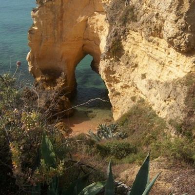 欧意交易所app官网