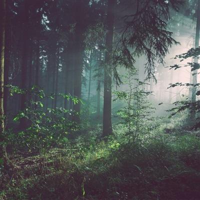 永乐国际手机app下载